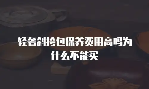 轻奢斜挎包保养费用高吗为什么不能买