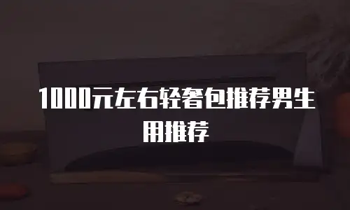 1000元左右轻奢包推荐男生用推荐