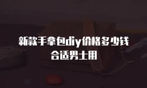 新款手拿包diy价格多少钱合适男士用