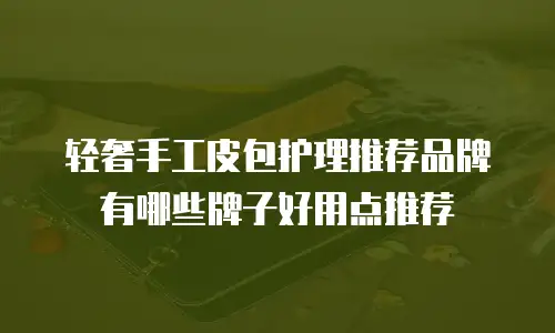 轻奢手工皮包护理推荐品牌有哪些牌子好用点推荐