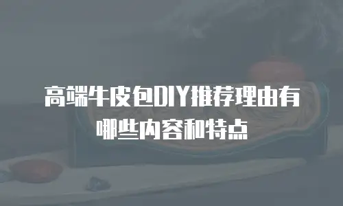 高端牛皮包DIY推荐理由有哪些内容和特点