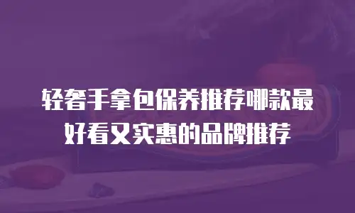 轻奢手拿包保养推荐哪款最好看又实惠的品牌推荐