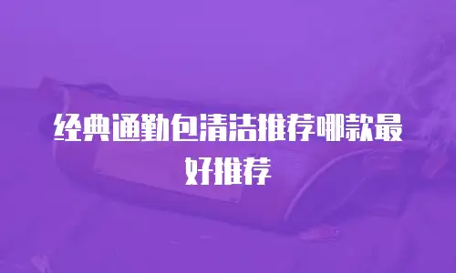 经典通勤包清洁推荐哪款最好推荐