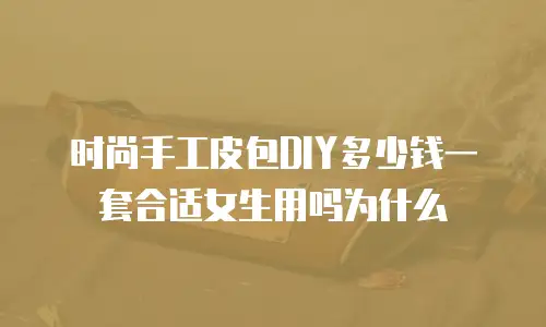 时尚手工皮包DIY多少钱一套合适女生用吗为什么