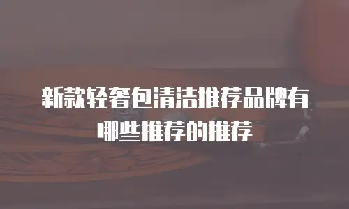 新款轻奢包清洁推荐品牌有哪些推荐的推荐