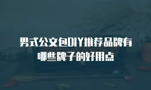男式公文包DIY推荐品牌有哪些牌子的好用点