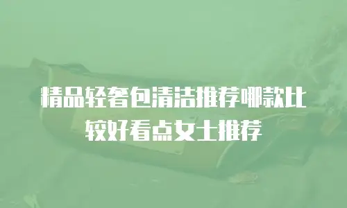 精品轻奢包清洁推荐哪款比较好看点女士推荐