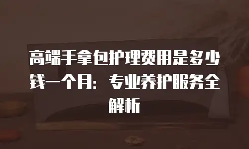 高端手拿包护理费用是多少钱一个月：专业养护服务全解析