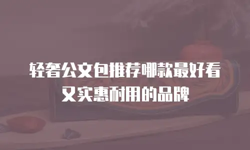 轻奢公文包推荐哪款最好看又实惠耐用的品牌