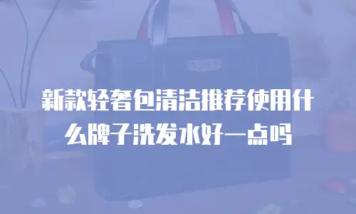新款轻奢包清洁推荐使用什么牌子洗发水好一点吗