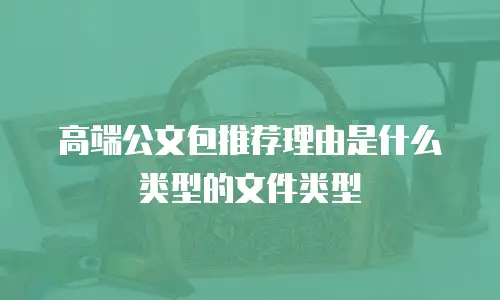 高端公文包推荐理由是什么类型的文件类型