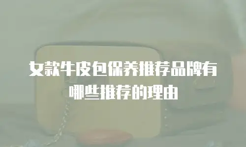 女款牛皮包保养推荐品牌有哪些推荐的理由