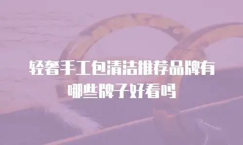 轻奢手工包清洁推荐品牌有哪些牌子好看吗