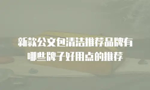 新款公文包清洁推荐品牌有哪些牌子好用点的推荐