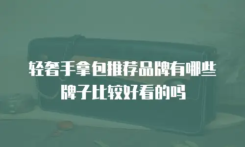 轻奢手拿包推荐品牌有哪些牌子比较好看的吗
