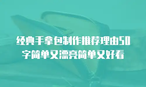 经典手拿包制作推荐理由50字简单又漂亮简单又好看