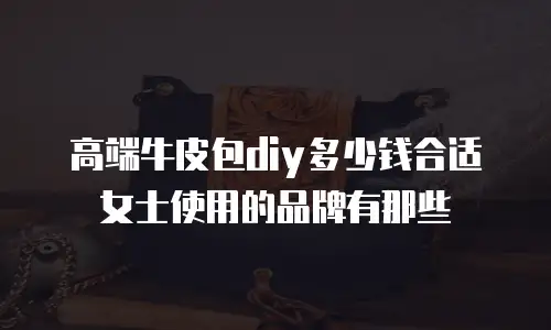 高端牛皮包diy多少钱合适女士使用的品牌有那些