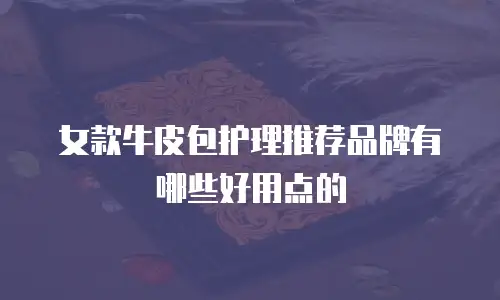 女款牛皮包护理推荐品牌有哪些好用点的
