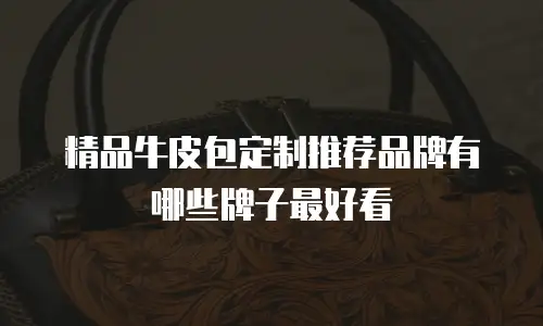精品牛皮包定制推荐品牌有哪些牌子最好看