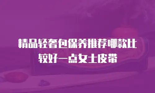 精品轻奢包保养推荐哪款比较好一点女士皮带