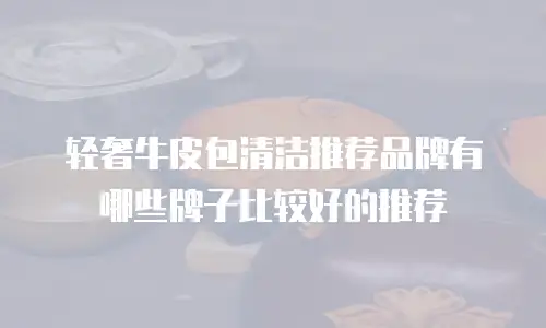 轻奢牛皮包清洁推荐品牌有哪些牌子比较好的推荐