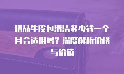精品牛皮包清洁多少钱一个月合适用吗？深度解析价格与价值