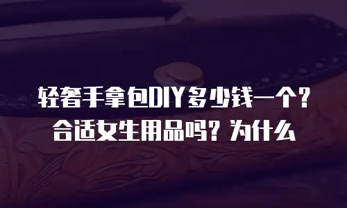 轻奢手拿包DIY多少钱一个？合适女生用品吗？为什么