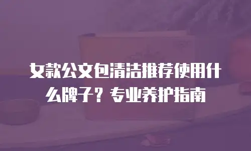 女款公文包清洁推荐使用什么牌子？专业养护指南