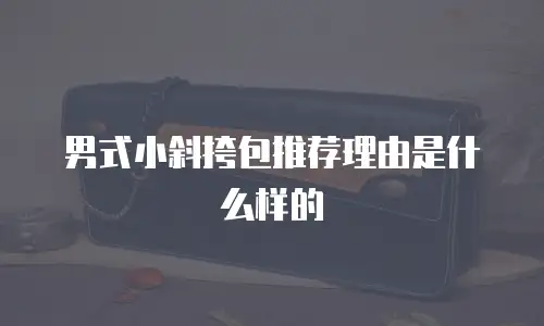 男式小斜挎包推荐理由是什么样的