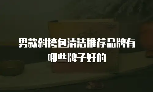 男款斜挎包清洁推荐品牌有哪些牌子好的