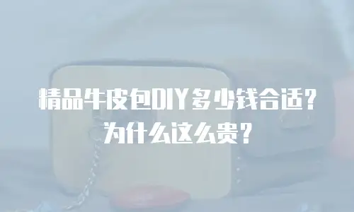 精品牛皮包DIY多少钱合适？为什么这么贵？
