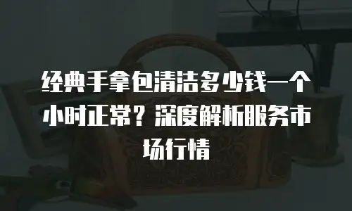 经典手拿包清洁多少钱一个小时正常？深度解析服务市场行情