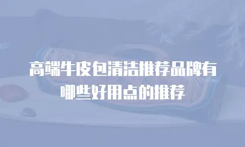 高端牛皮包清洁推荐品牌有哪些好用点的推荐
