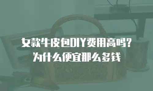 女款牛皮包DIY费用高吗？为什么便宜那么多钱