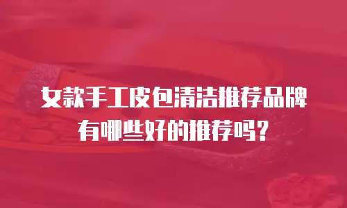 女款手工皮包清洁推荐品牌有哪些好的推荐吗？