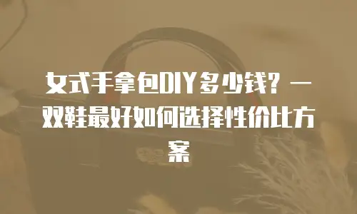 女式手拿包DIY多少钱？一双鞋最好如何选择性价比方案