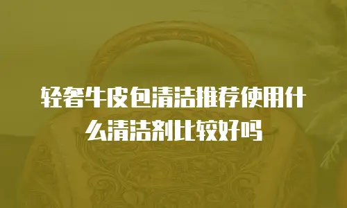 轻奢牛皮包清洁推荐使用什么清洁剂比较好吗