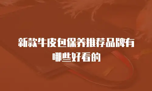 新款牛皮包保养推荐品牌有哪些好看的