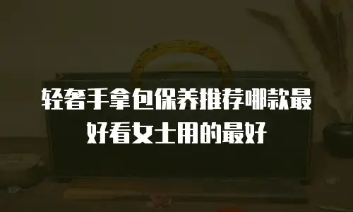 轻奢手拿包保养推荐哪款最好看女士用的最好