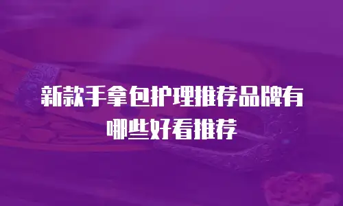 新款手拿包护理推荐品牌有哪些好看推荐
