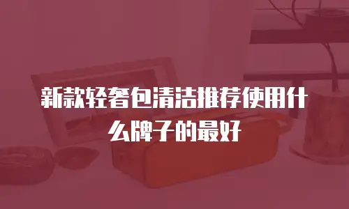 新款轻奢包清洁推荐使用什么牌子的最好