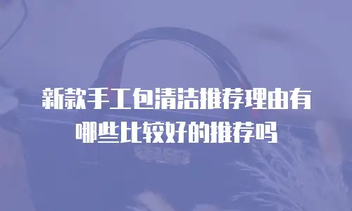 新款手工包清洁推荐理由有哪些比较好的推荐吗