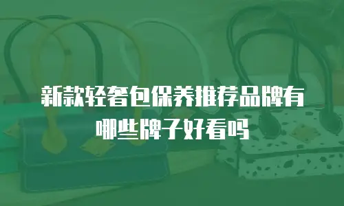 新款轻奢包保养推荐品牌有哪些牌子好看吗
