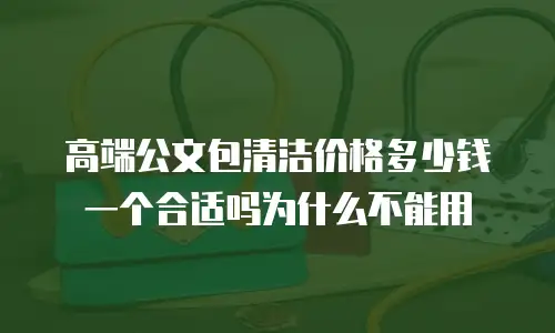 高端公文包清洁价格多少钱一个合适吗为什么不能用