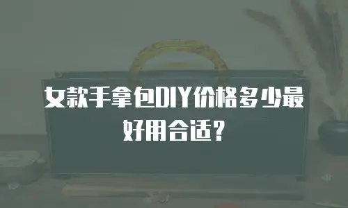 女款手拿包DIY价格多少最好用合适？
