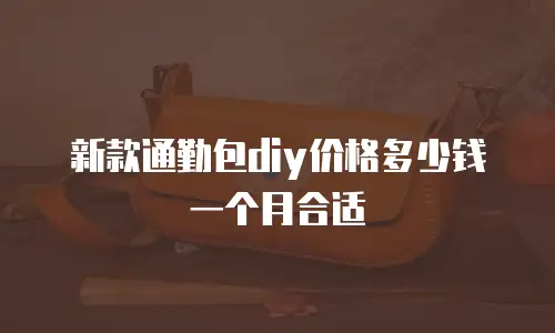 新款通勤包diy价格多少钱一个月合适