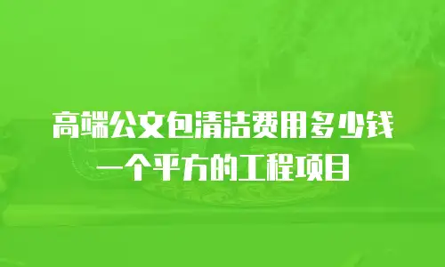 高端公文包清洁费用多少钱一个平方的工程项目