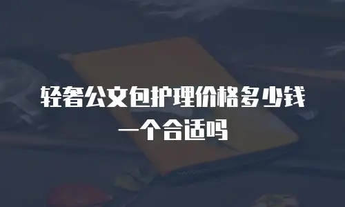 轻奢公文包护理价格多少钱一个合适吗