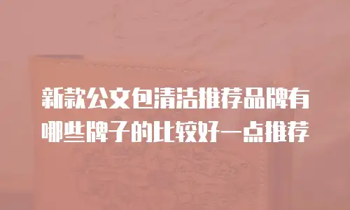 新款公文包清洁推荐品牌有哪些牌子的比较好一点推荐