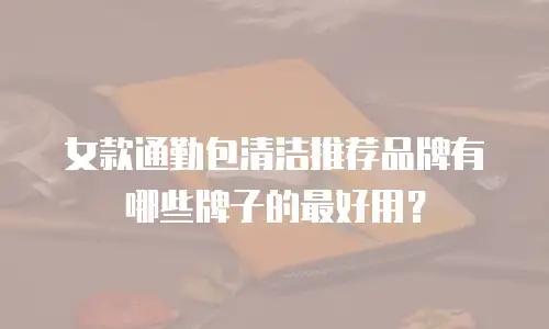 女款通勤包清洁推荐品牌有哪些牌子的最好用？